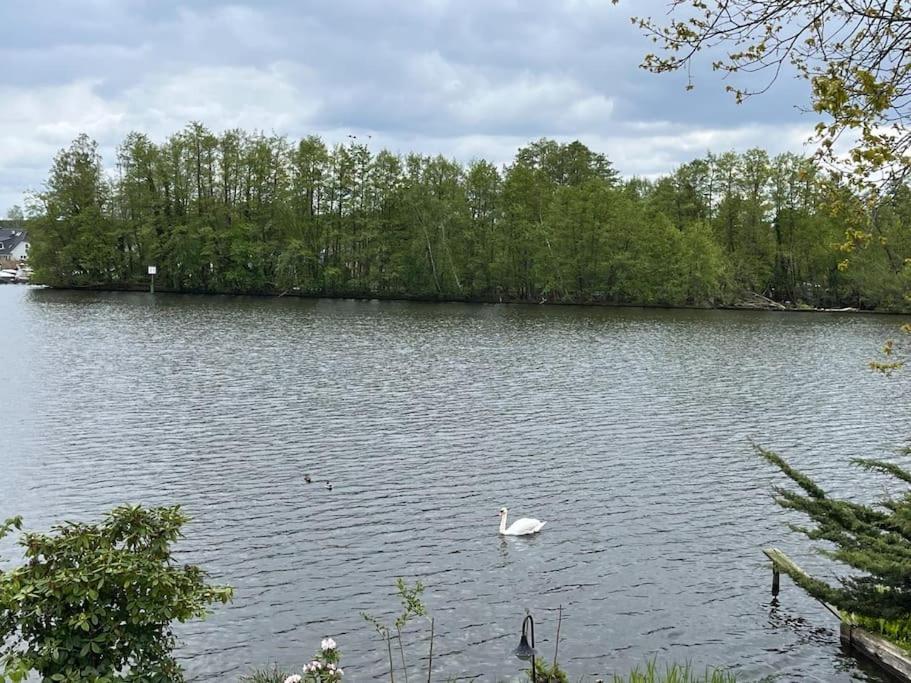 Lakeside Studio - Haus Mit Seezugang Königs Wusterhausen Екстериор снимка
